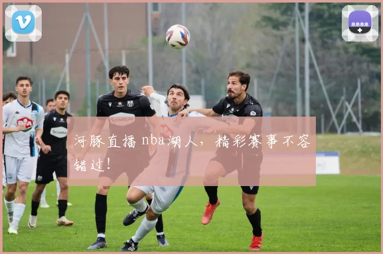 河豚直播 nba湖人，精彩赛事不容错过！