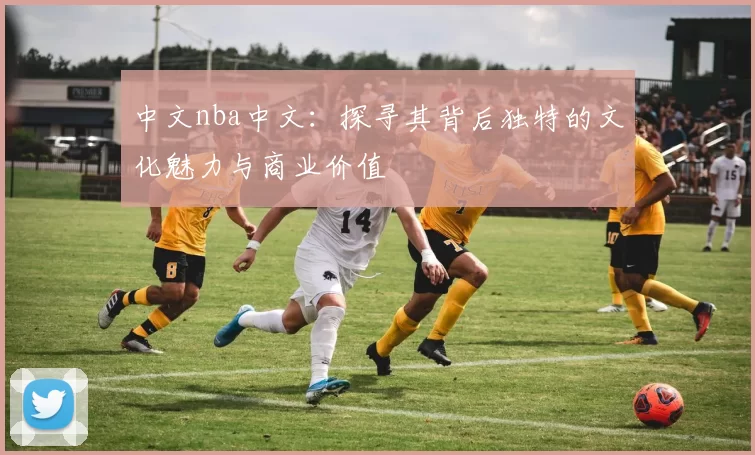中文nba中文：探寻其背后独特的文化魅力与商业价值